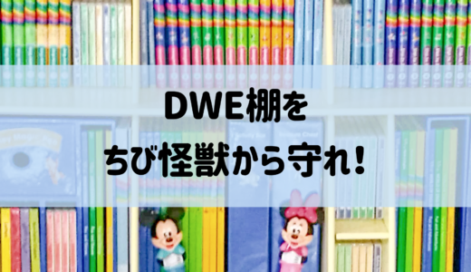 DWE棚のガード＆目隠しアイディア