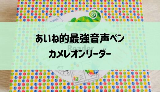 カメレオンリーダーがついに我が家に！セット詳細